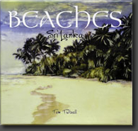 Beaches book